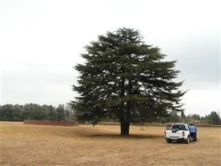 Pumula Park