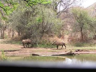 Kwa Maritane