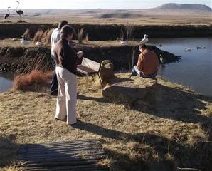 Makiti