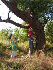 NOLY - _ _ _ _ in die takke