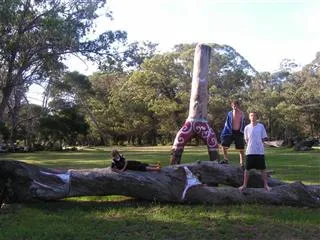 Family Tree