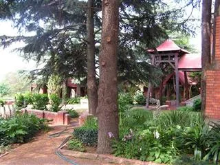 Holy Tree