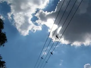 Three Iron