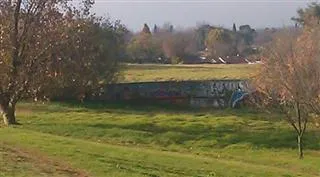 Graffiti Circle
