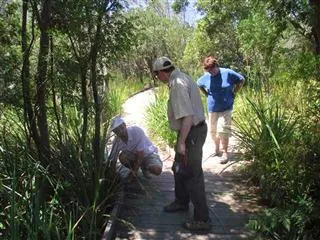 Silvermine Boardwalk