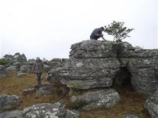Kaapschehoop Tall Tail