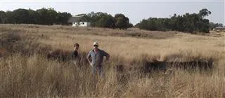MF2010 Sinkholes