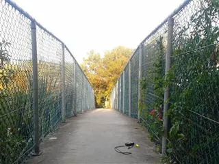 Gone Fishing