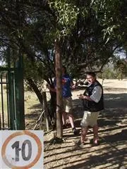 Down Right Up