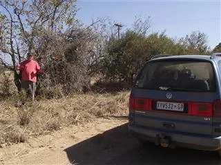 Zebra View