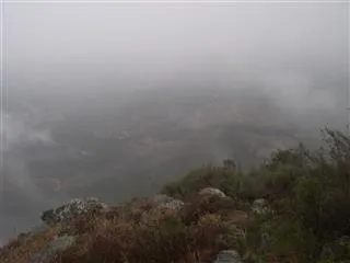 Tower View