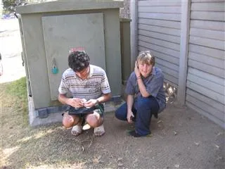 A Cache for MadSons
