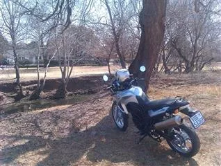 Alcatraz on Braamfontein Spruit