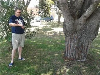 Spring day in a park