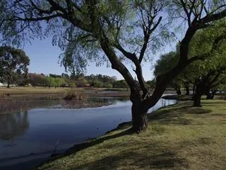 Bass Dam