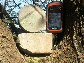 Tree of NO Car Parts