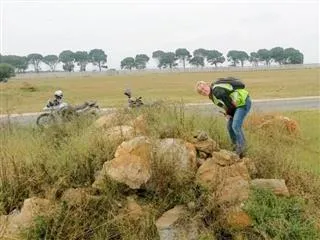 Liefde en Vrede