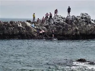 Bird Rock