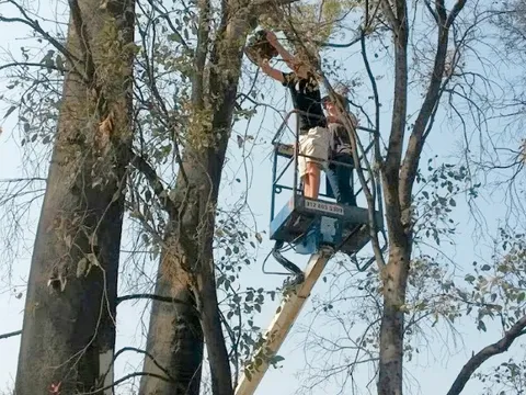 Extra-ordinary Heights: Mikes B-day Cache