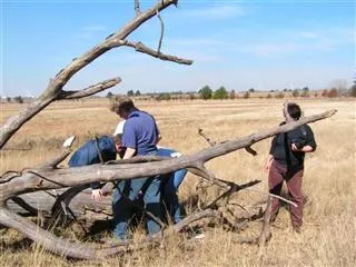 Meca (Micro Ecological Conservation Area)