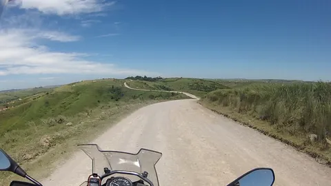 Cats Pass