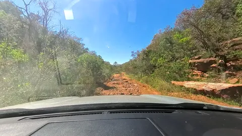 Browns Cutting